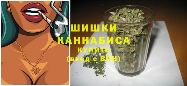 хмурый Кодинск