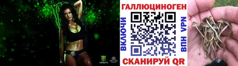 где продают   Малмыж  Псилоцибиновые грибы ЛСД 