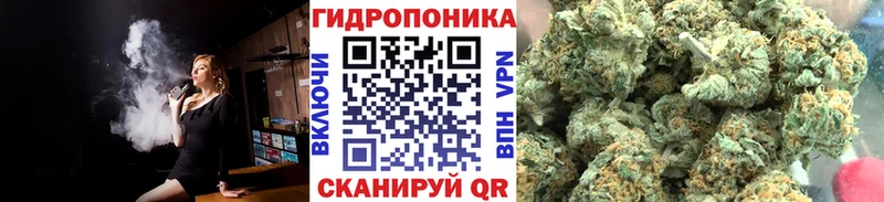 Канабис тримм  цена   Малмыж 